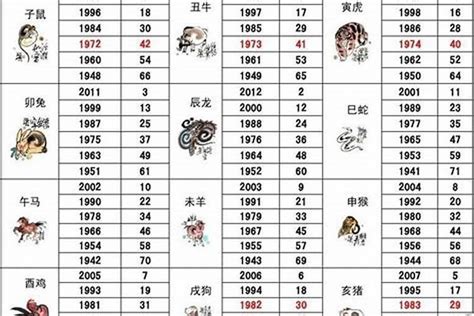 1987屬|1987年1月出生属什么生肖